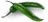 перец жгучий зеленый